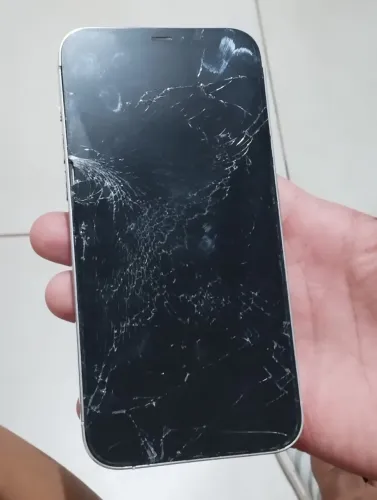 iPhone 12 Pro Max