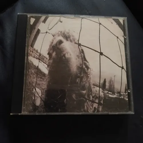 Cd Pearl Jam 1993 Ótimo estado