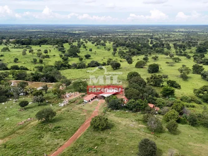 Fazenda 396 alqueires (1.916 hectares) Sandolândia - TO