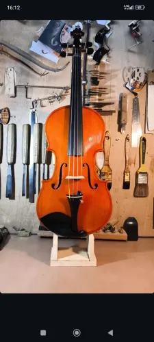 Violino