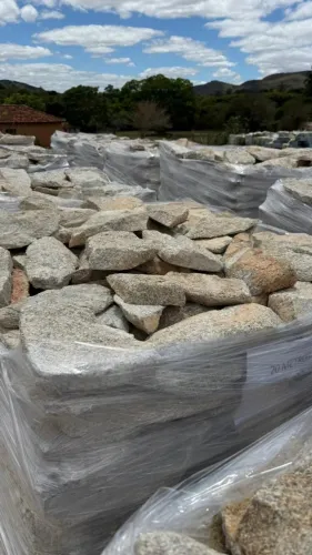 Pedra Moledo Premium Champanhe Revestimento Natural Rústica Parede Muro Pronta Entrega