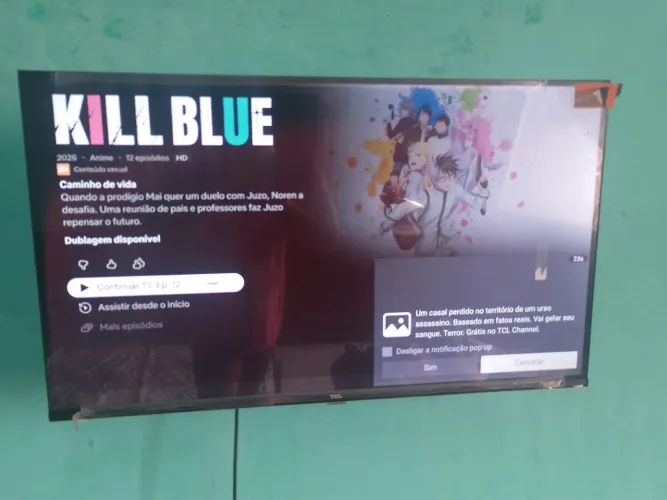 Vendo Tv TCL SEMI NOVA