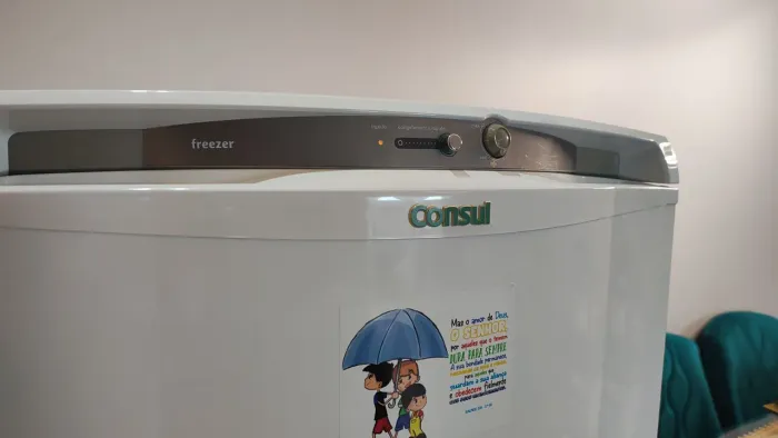 Freezer Consul 231L