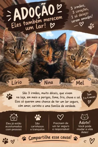 DOAÇÃO RESPONSÁVEL - Gatinhos de 3 meses