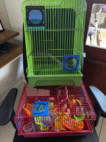Casa de hamster 