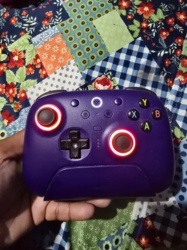 8bitdo zerado