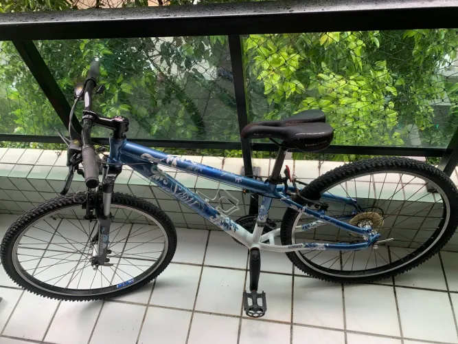 Mountain Bike