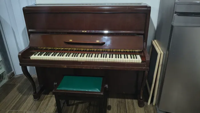 Piano Acustico Schwartzmann