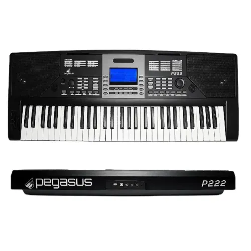 Teclado Pegasus P222
