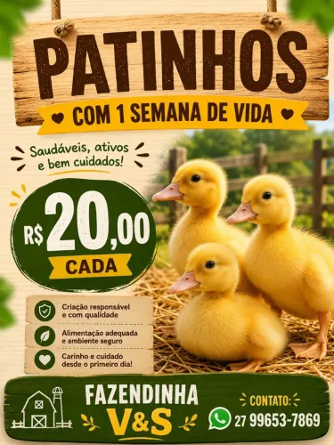 Patinhos 