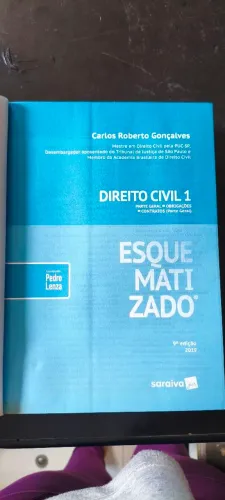 Direito Civil esquematizado