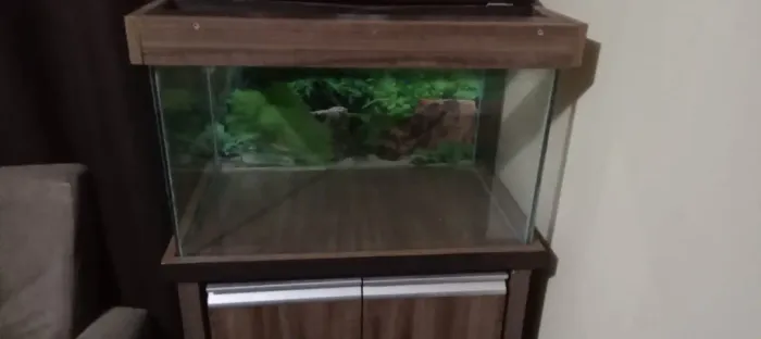 Aquario com móvel