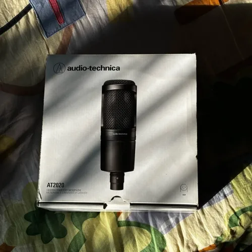 Mic at2020