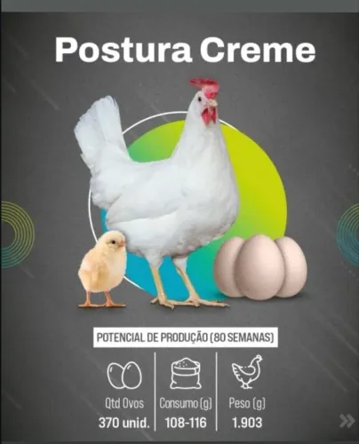 Postura Tinder (creme)