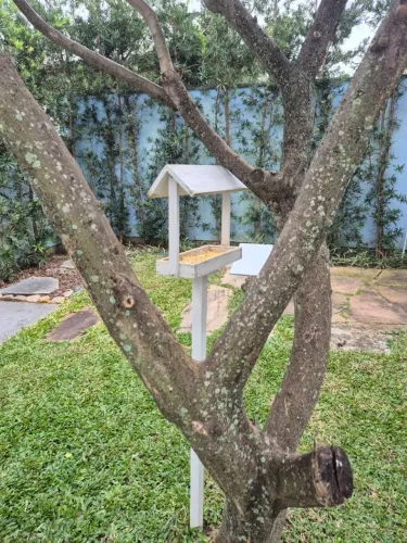 Comedouro de Pássaros Livres Silvestres