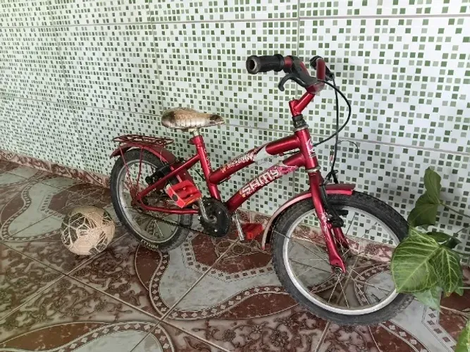 Bicicleta infantil