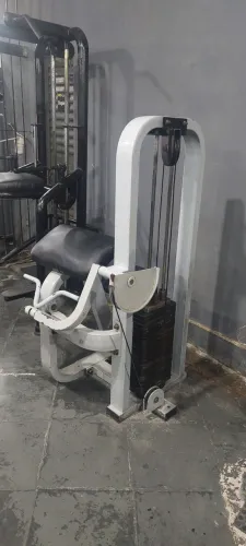 Biceps scott body solid