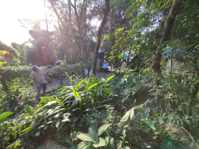 Terreno no Ribeirão da Ilha - Caiacanga