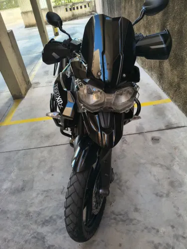 Tiger Triumph XRX 2015