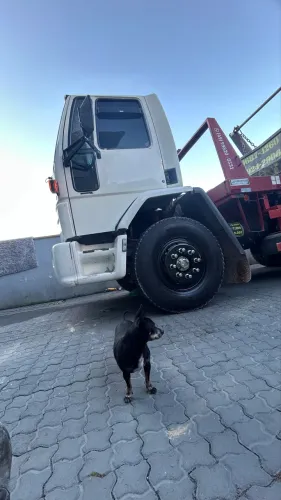 Caminhão Poliguindaste