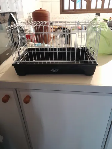 Gaiola para porquinho da Índia