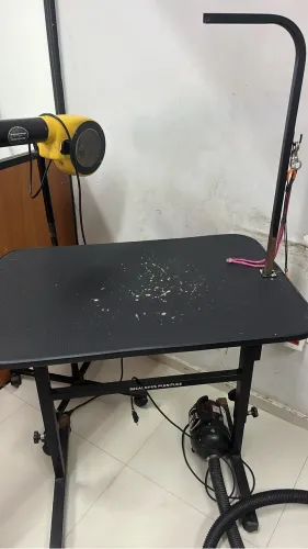 Mesa de banho e tosa