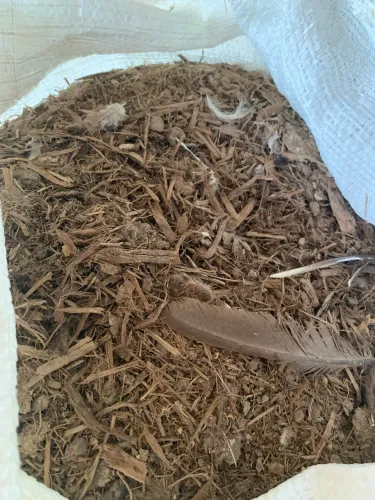 Cama de Galinha Caipira 