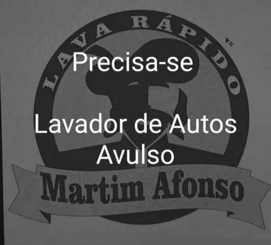 Lavador de Autos Avulso