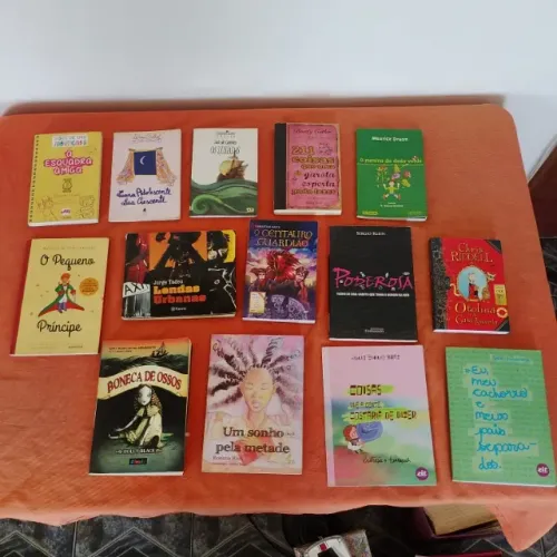 Lote Com 14 Livros Infanto Juvenil Novos !