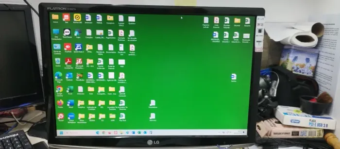 Monitor LG 19"