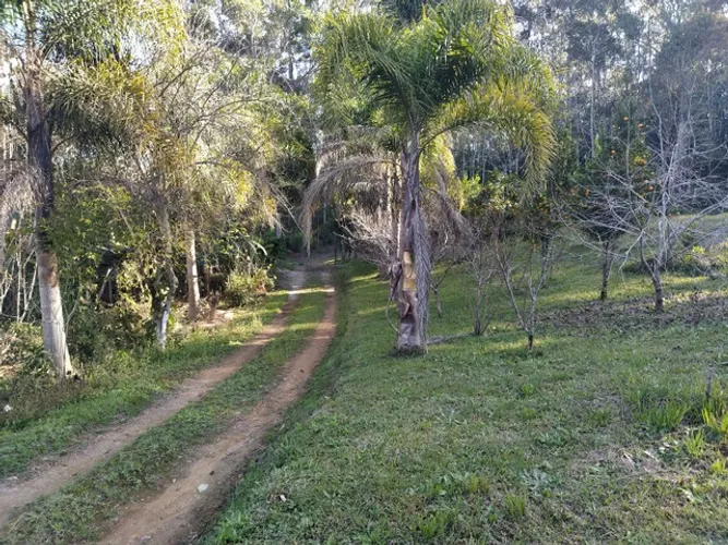 Sitio do Silvino