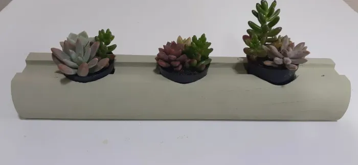 Mini Suporte Suculentas Cactos De Mesa De Madeira
