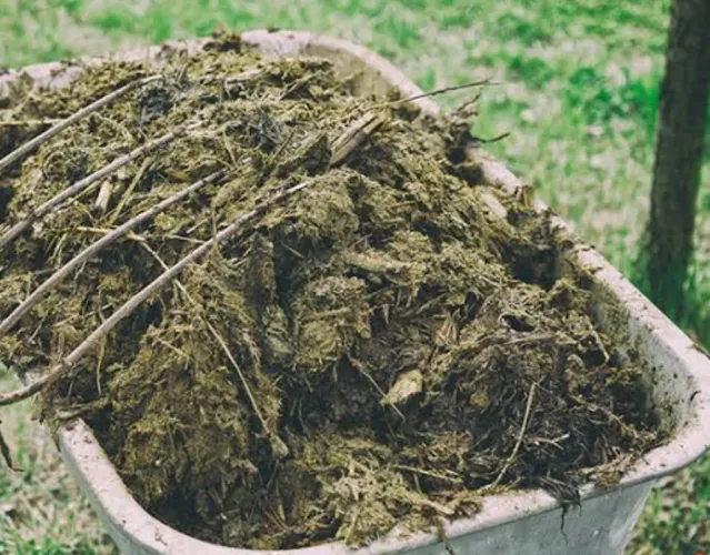 Esterco bovino, de aves e ovino. Adubo Orgânico de Qualidade