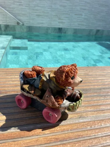 Cofrinho Urso em Skate