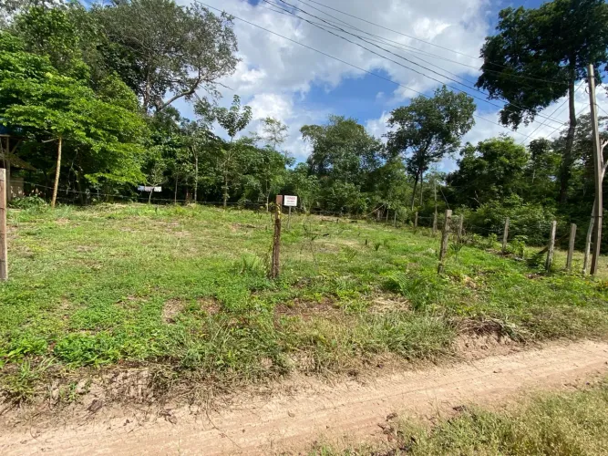 Terreno 10 x 30 de subesquina . Alter do chão.