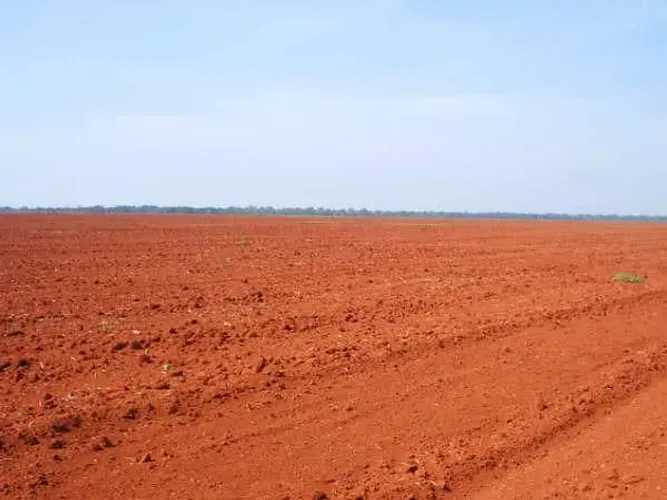 FAZENDA 11.000 hect em  PARANATINGA MT. 320. Milhões<br>11.000. Hectares