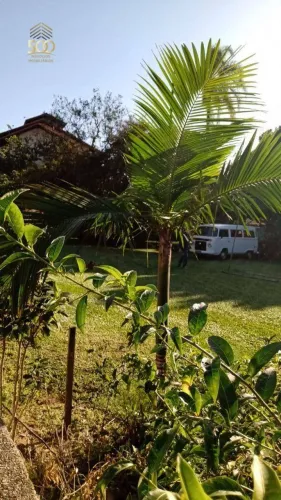 Terreno à venda, 5250 m² por R$ 2.660.000,00 - Ponta de Baixo - São José/SC