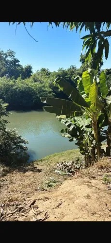 Chácara 1.000 metros quadrados valor 250.000