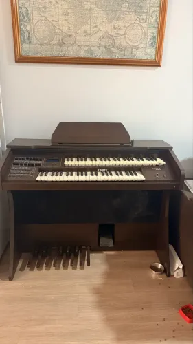 Órgão musical