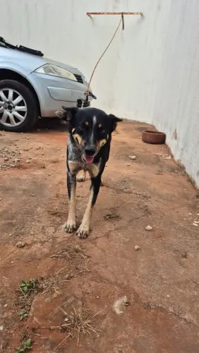 Doação 