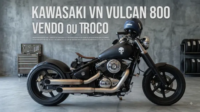 Kawasaki vn 800