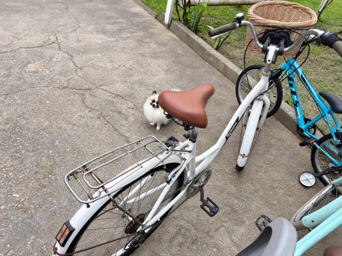 Vendo bike retrô 