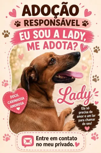 Adoção responsável