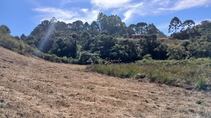 Terreno à Venda em Gonçalves - Sertão do Canta Galo