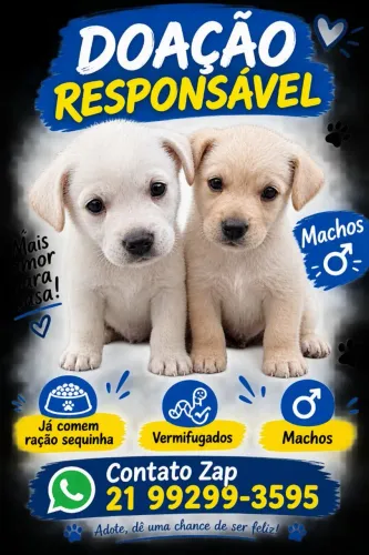 Doação de filhotes