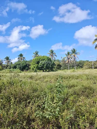 Lote/Terreno/Condomínio em Zona de Equilíbrio Ambiental (ZEA)