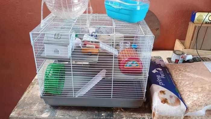 KIT COMPLETO PARA HAMSTER/PORQUINHO DA ÍNDIA