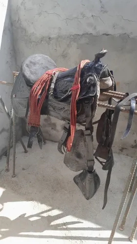 Sela de Cavalo em couro legítimo!