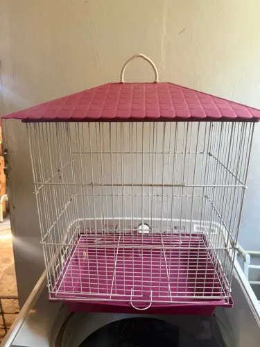 Casinha para passarinho/calopsitas