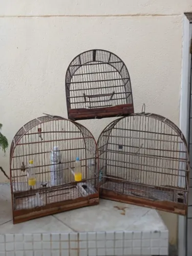 Gaiolas ( as 3)